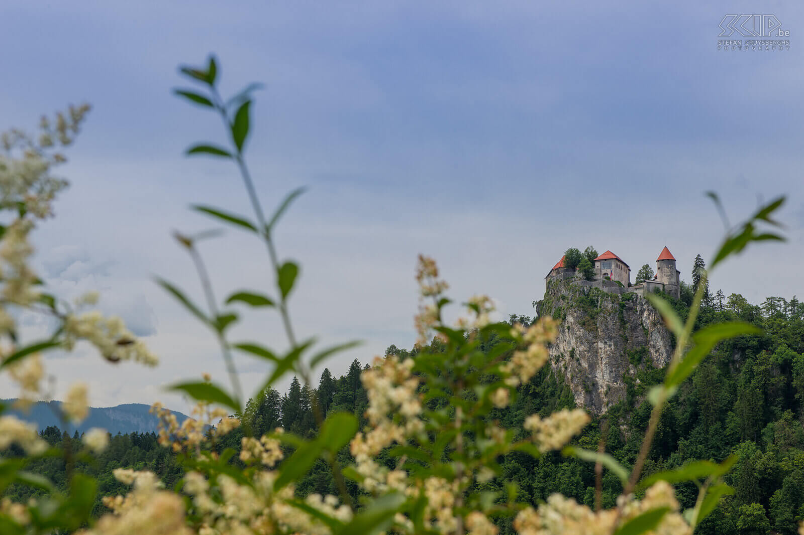 Bled - Kasteel Het kasteel van Bled staat op de top van een 130 meter hoge rots en dateert uit de 16de eeuw. Stefan Cruysberghs